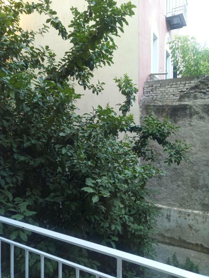 New Apartment With A Separate Entrance Near The Subway. Αθήνα Εξωτερικό φωτογραφία